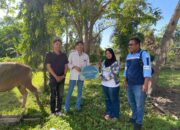 BKMS Tebar Kebahagiaan Idul Adha, 9 Ekor Sapi Kurban Dibagikan