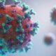Hantavirus Mengintai Indonesia, Akankah Menjadi Pandemi Baru Seperti Corona?