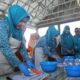 Turun Tangan Olah Menu Ikan, Ketua TP-PKK Luwu Komitmen Berantas Stunting