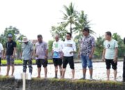 Bupati Sidrap Turun ke Sawah Canangkan Tanam Padi Organik
