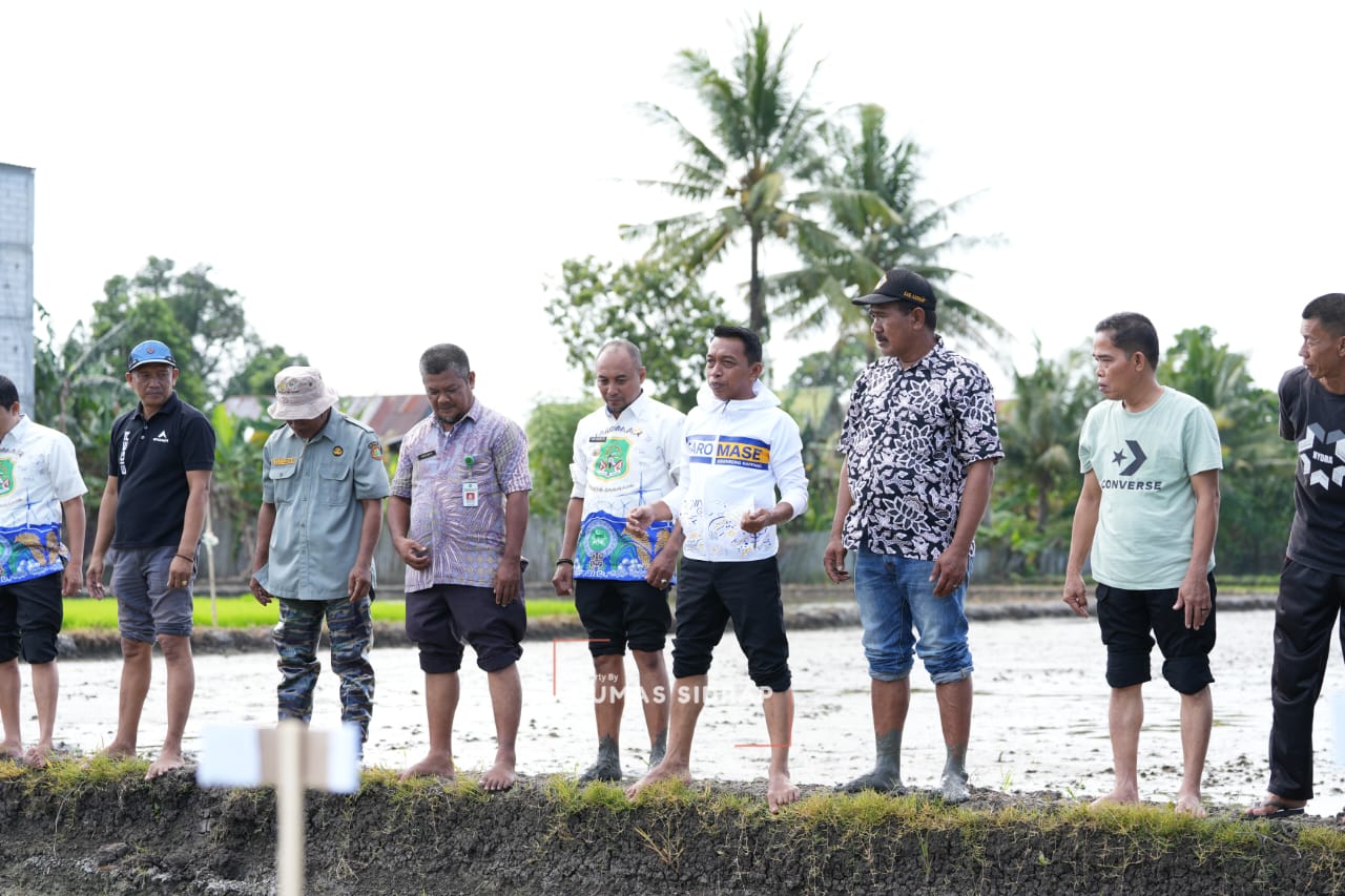 Bupati Sidrap Turun ke Sawah Canangkan Tanam Padi Organik