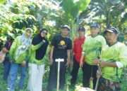 Aksi Nyata Disabilitas untuk Iklim, Yayasan Wanua Nusantara Lestari Tanam 100 Pohon di Luwu