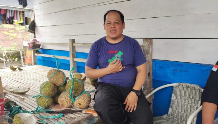 Sidrap Musim Durian, Pendapatan Warga Ditaksir Capai Miliaran Rupiah