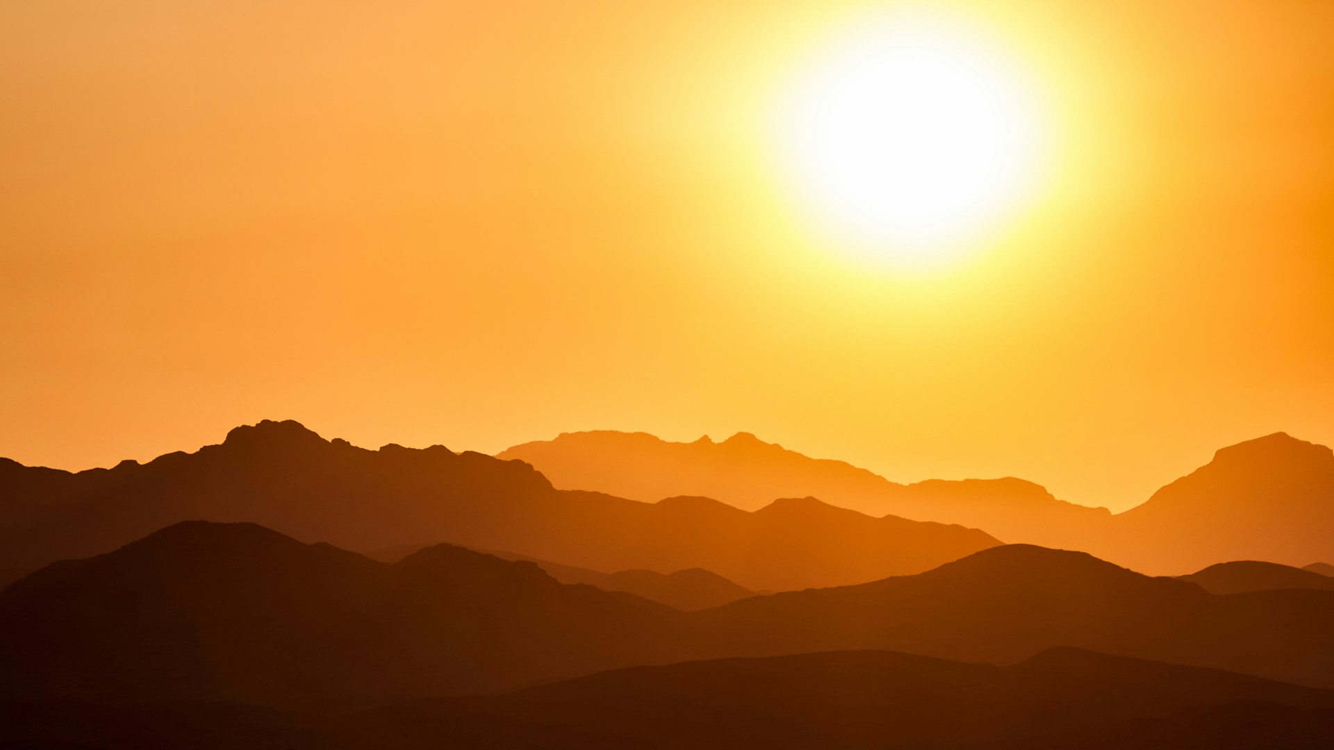 Suhu 40°C Panggang Eropa, Angka Kematian Melonjak Tajam