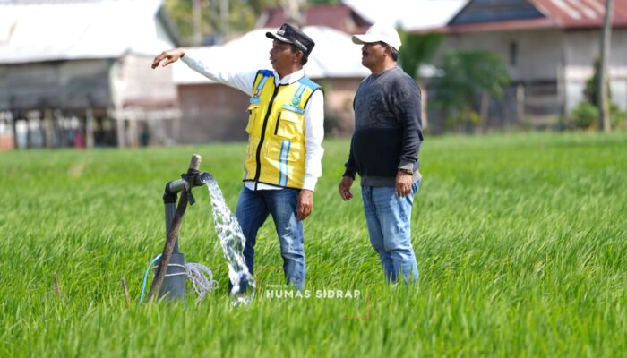 Bupati Sidrap Susuri Irigasi Kulo Percepat Penanganan Kekeringan