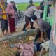 Pria Tanpa Identitas Ditemukan Tewas dengan Mulut Berbusa di Samping Warung Cendol Sidrap