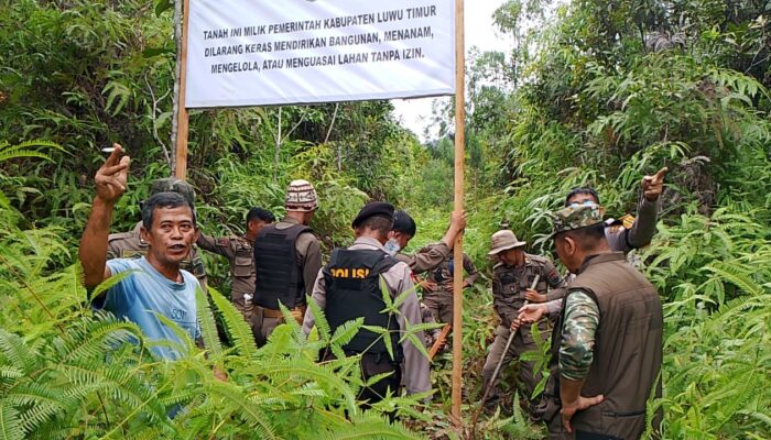 Pemkab Lutim Tegaskan Pengosongan Lahan Laoli Bukan Penggusuran