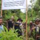 Pemkab Lutim Tegaskan Pengosongan Lahan Laoli Bukan Penggusuran
