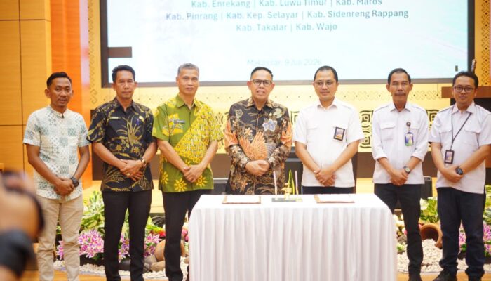 Lampaui Target Nasional, Bone Siapkan 87 Persen Lahan Baku Sawah Sebagai LP2B