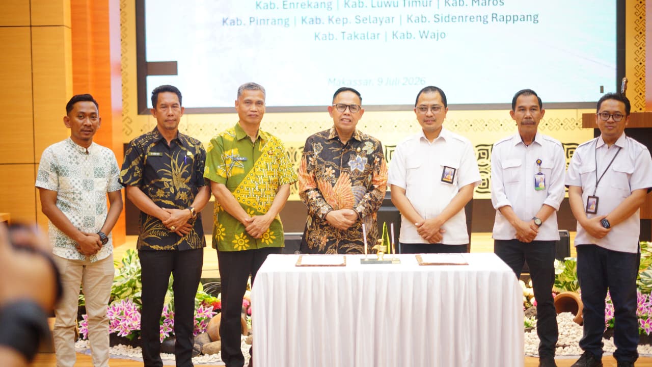 Lampaui Target Nasional, Bone Siapkan 87 Persen Lahan Baku Sawah Sebagai LP2B