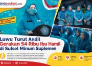 Luwu Turut Andil Gerakan 54 Ribu Ibu Hamil di Sulsel Minum Suplemen