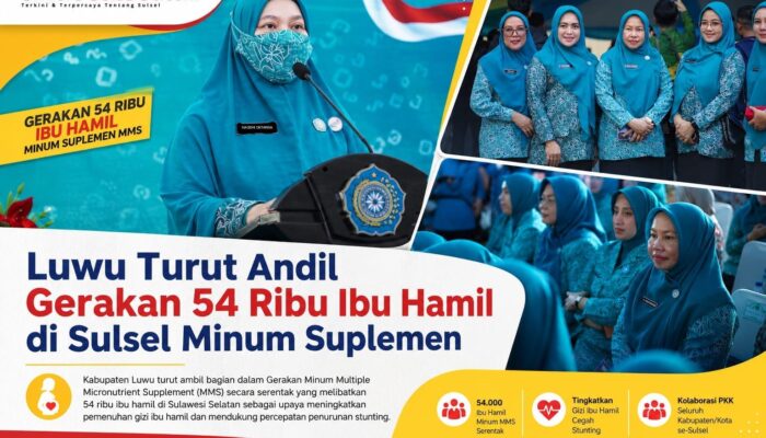 Luwu Turut Andil Gerakan 54 Ribu Ibu Hamil di Sulsel Minum Suplemen