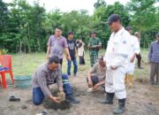 Bupati Luwu Genjot Pengembangan Aren Genjah