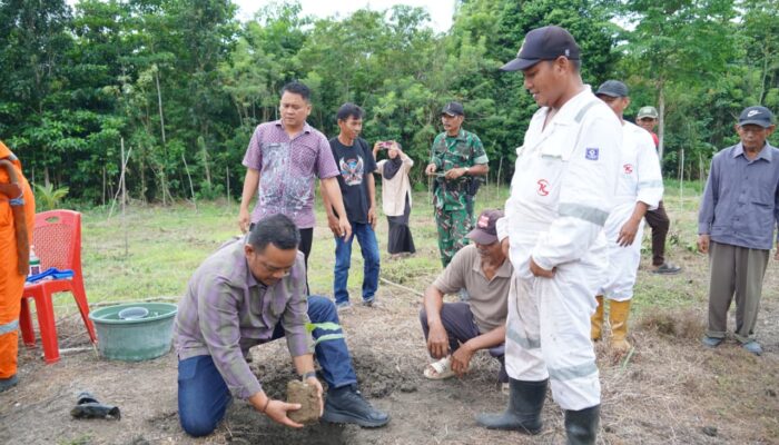 Bupati Luwu Genjot Pengembangan Aren Genjah
