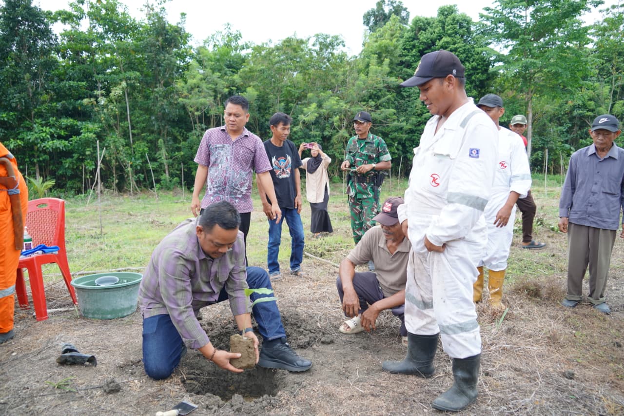 Bupati Luwu Genjot Pengembangan Aren Genjah