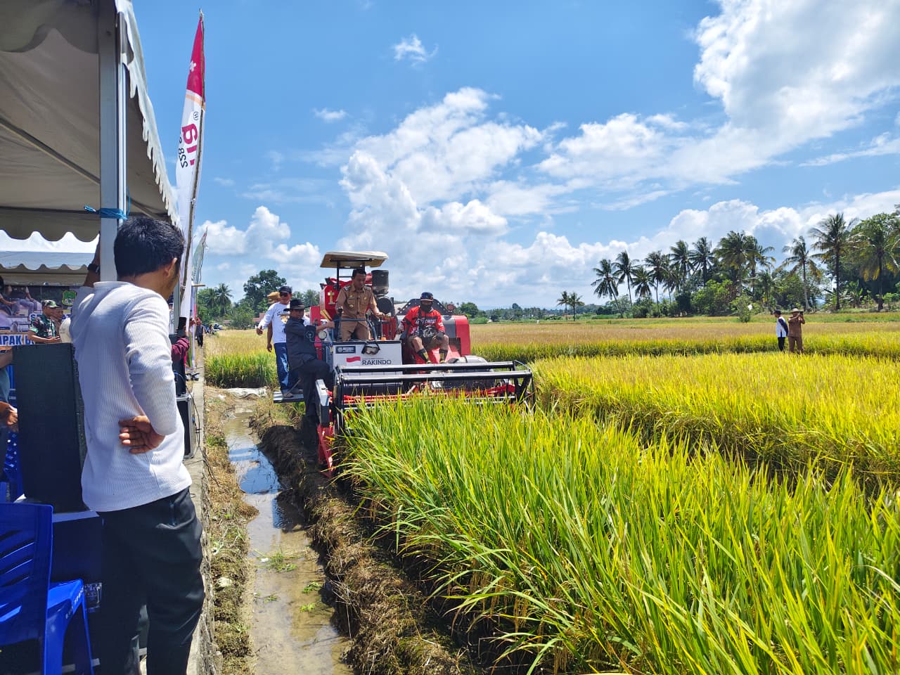 Panen Perdana Program IP 300, Bupati Sidrap Yakin Pendapatan Petani Capai Rp80 Miliar