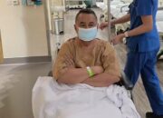 Hotman Paris Mendadak Mengundurkan Diri Sebagai Pengacara Febrie Adriansyah, Ada Apa?