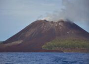 Gunung Anak Krakatau Erupsi 11 Kali Hari Ini