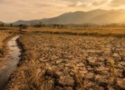 El Niño Kuat Mengintai Luwu Raya