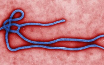 Wabah Ebola Kongo Meluas, 5.794 Kasus, 2.786 Orang Meninggal