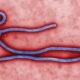 Wabah Ebola Kongo Meluas, 5.794 Kasus, 2.786 Orang Meninggal