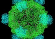 Bukan Lagi Fiksi, AI Kini Berhasil Ciptakan Virus Hidup dari Kode Digital