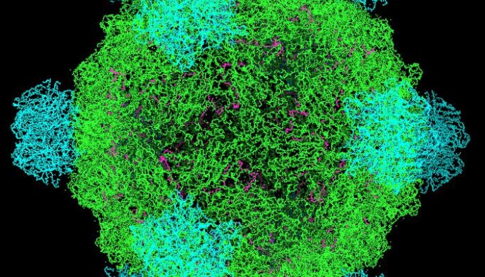 Bukan Lagi Fiksi, AI Kini Berhasil Ciptakan Virus Hidup dari Kode Digital