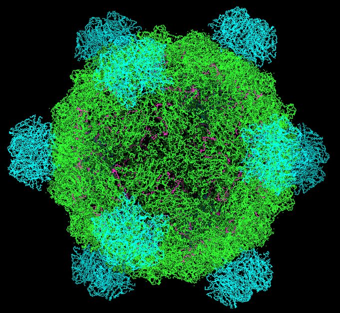 Bukan Lagi Fiksi, AI Kini Berhasil Ciptakan Virus Hidup dari Kode Digital