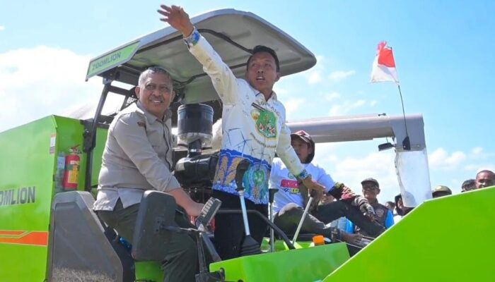 Bupati Sidrap Panen Perdana Pertanian Modern di Majjeling Wattang