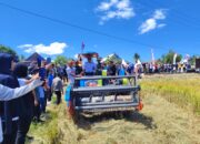 Panen Desa Botto Tembus 9,5 Ton per Hektare, Sidrap Genjot IP300