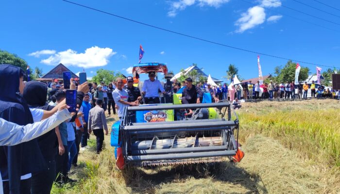 Panen Desa Botto Tembus 9,5 Ton per Hektare, Sidrap Genjot IP300