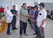 Luwu Siapkan 8 Juta Bibit Kakao