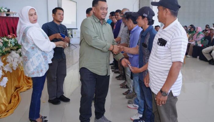 Luwu Siapkan 8 Juta Bibit Kakao