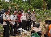 Sawah Mengering, Bantuan Pompa Air Jadi Harapan Petani Palopo