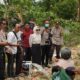 Sawah Mengering, Bantuan Pompa Air Jadi Harapan Petani Palopo