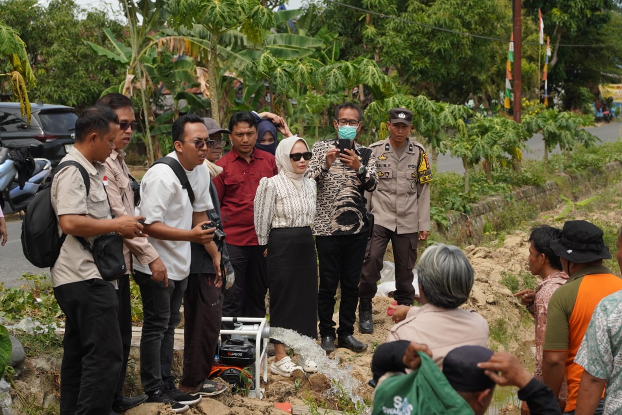 Sawah Mengering, Bantuan Pompa Air Jadi Harapan Petani Palopo