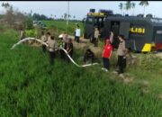 Krisis Air Melanda, Kapolres Luwu Kerahkan Water Cannon Selamatkan Sawah Warga