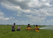 Atasi Kekeringan, Satuan Samapta Polres Sidrap Salurkan Air ke Sawah Warga