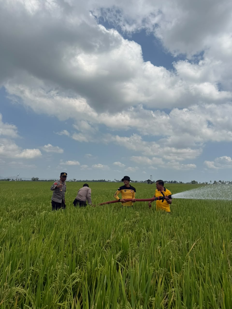 Atasi Kekeringan, Satuan Samapta Polres Sidrap Salurkan Air ke Sawah Warga