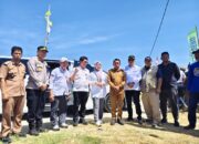 Kemarau Tak Halangi Panen, Listrik Masuk Sawah Dongkrak Produktivitas Sidrap