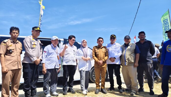 Kemarau Tak Halangi Panen, Listrik Masuk Sawah Dongkrak Produktivitas Sidrap