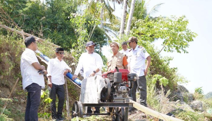 3.000 Hektare Sawah di Luwu Terancam Gagal Panen