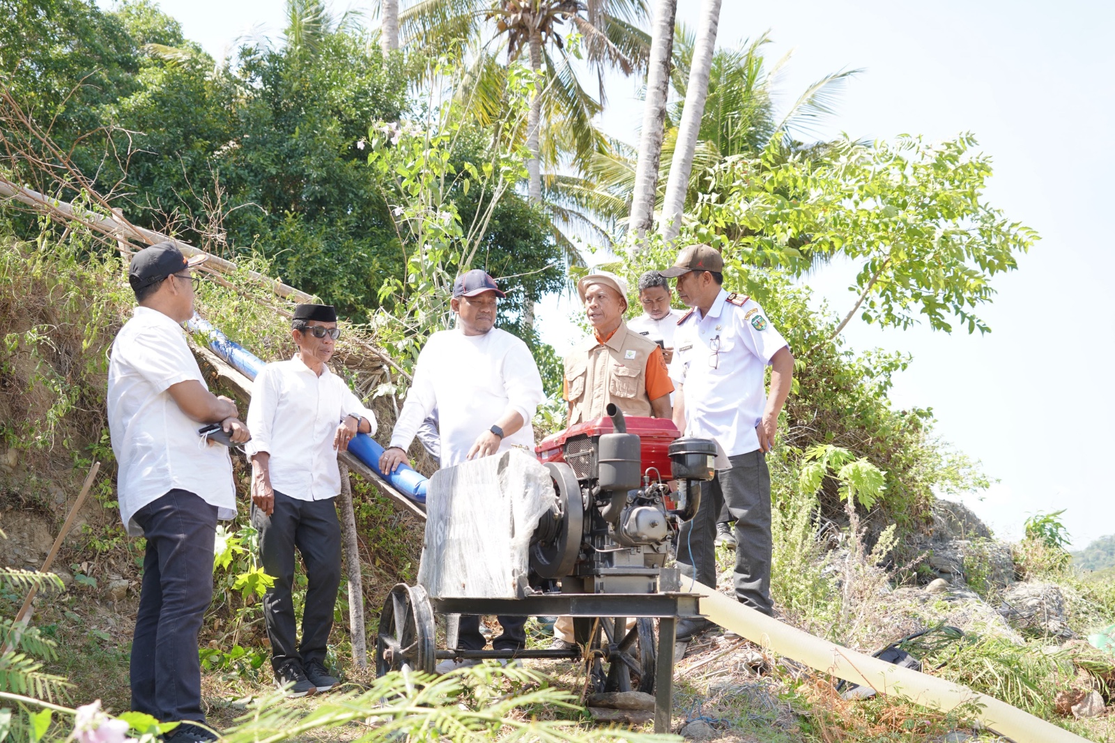 3.000 Hektare Sawah di Luwu Terancam Gagal Panen