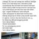 Viral Permintaan Donasi Kematian di Facebook, Camat Maritengngae: Alamat Fiktif