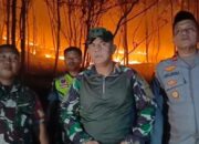 Dandim 1420 Sidrap Turun Langsung Padamkan Kebakaran Lahan di Mattirotasi