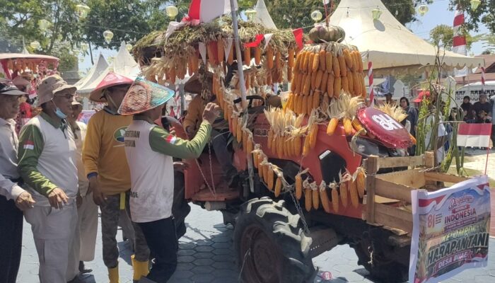 Pemkab Sidrap Gelar Karnaval Alat Pertanian, Ratusan Unit Tampil Unik dan Kreatif