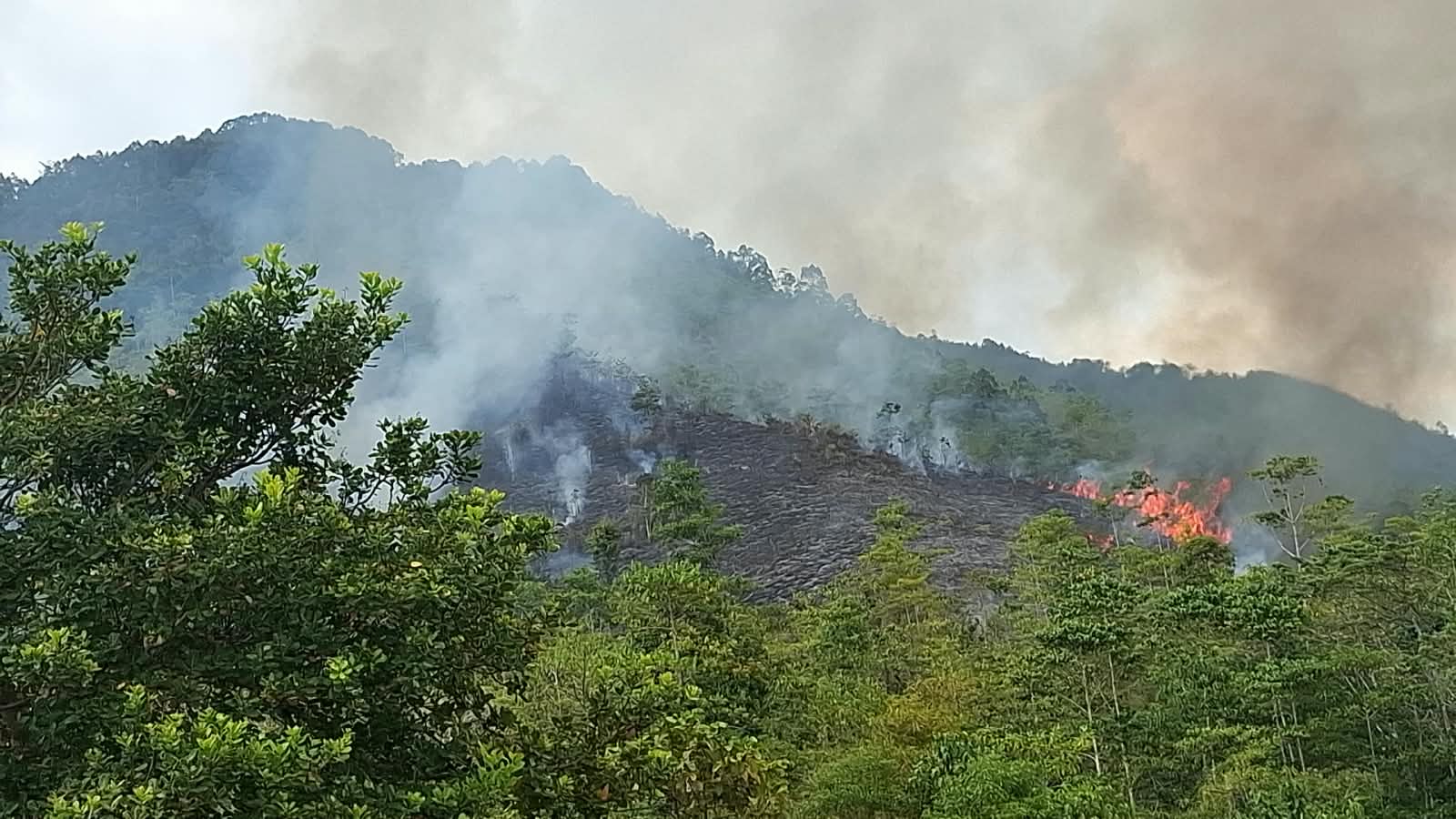 Si-Andalan Catat 17 Kejadian Bencana di Luwu Selama Agustus