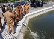 10 Ribu Benih Nila Monoseks Hasil BBI Sidrap Ditebar di Kolam Kantor Bupati
