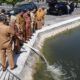 10 Ribu Benih Nila Monoseks Hasil BBI Sidrap Ditebar di Kolam Kantor Bupati