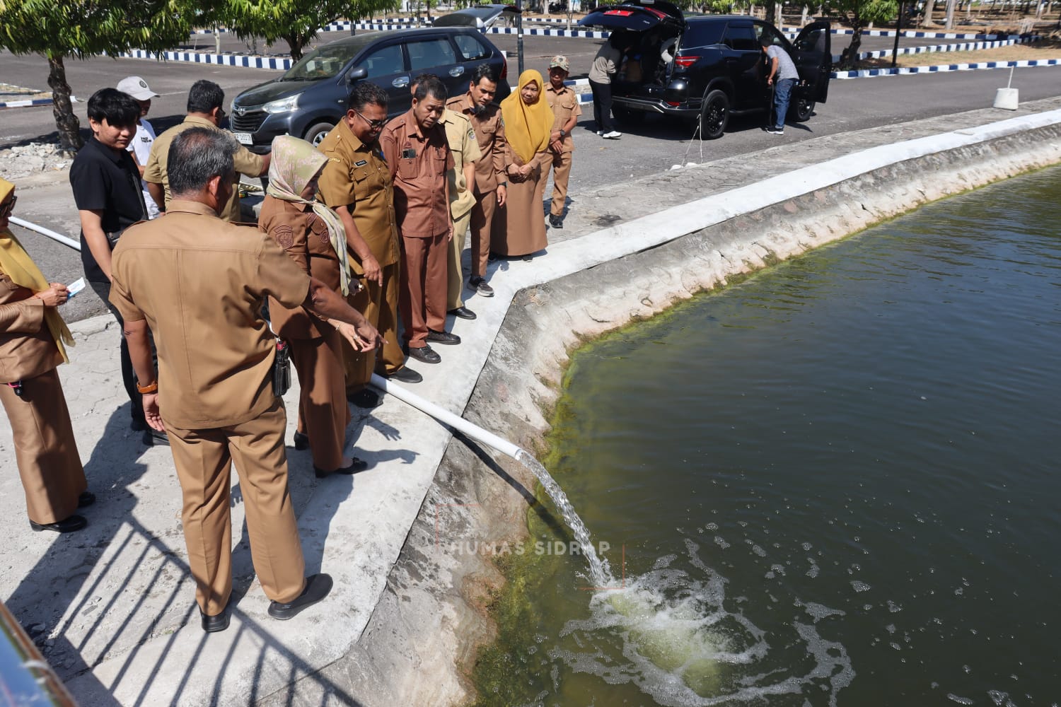 10 Ribu Benih Nila Monoseks Hasil BBI Sidrap Ditebar di Kolam Kantor Bupati